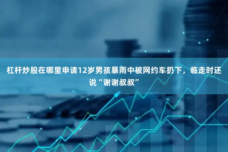 杠杆炒股在哪里申请12岁男孩暴雨中被网约车扔下，临走时还说“谢谢叔叔”